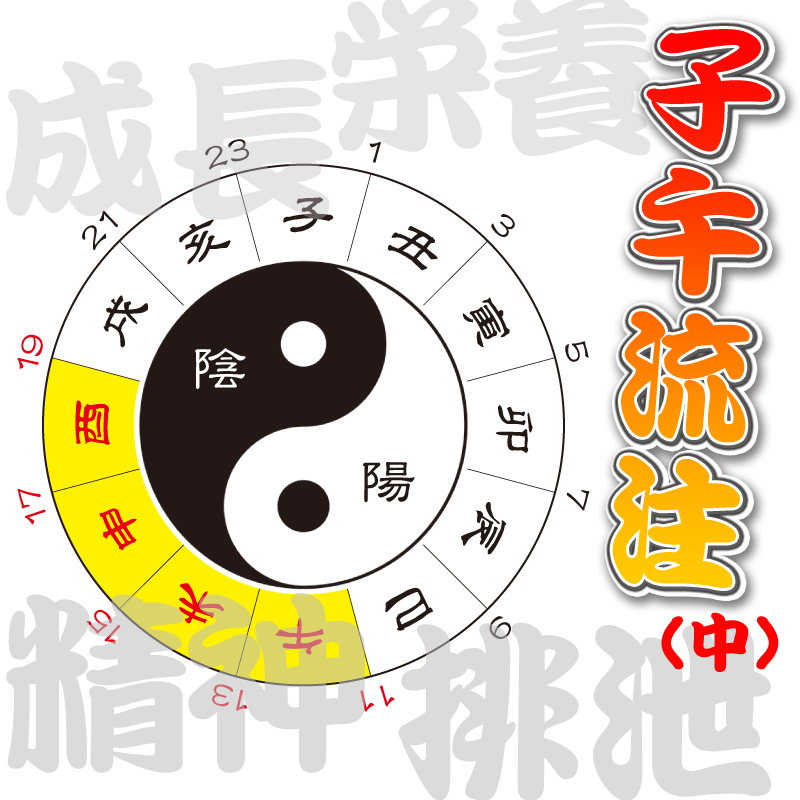 子午流注（中）～生活や治療に〝時間〞の概念をプラス！ 臓腑の活動